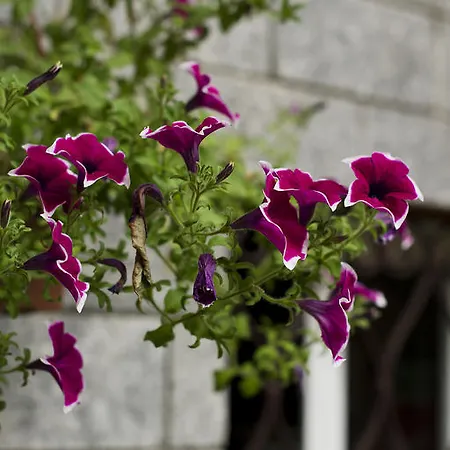 Bed & Breakfast Torre Lara