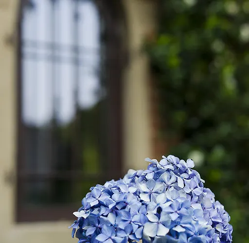 Torre Lara 벨지라테